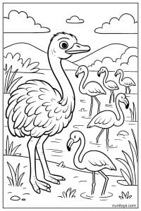 Ostrich Standing Near Flamingos in Wetland Coloring Page