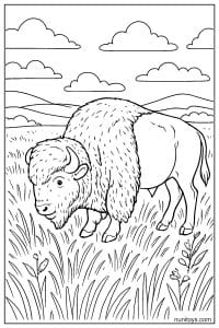 Realistic Bison Grazing in Tallgrass Prairie Coloring Page