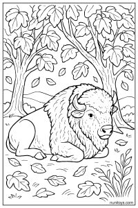 Realistic Bison Resting Under Cottonwood Trees Coloring Page