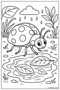 Ladybug Walking Beside Rain Puddle Coloring Sheet