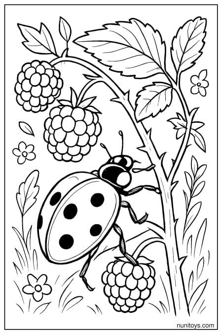 Ladybug Climbing Berry Plant Coloring Page
