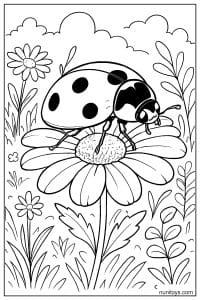Ladybug Resting on Daisy Flower Coloring Page