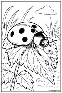 Ladybug Crawling Across Leafy Plant Coloring Sheet