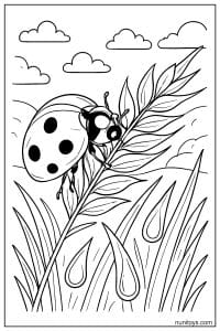 Ladybug Climbing Tall Grass with Dew Coloring Page