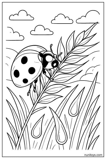 Ladybug Climbing Tall Grass with Dew Coloring Page