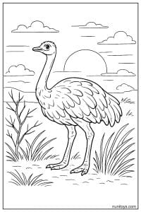 Ostrich Standing by Low Sun in Grassland Coloring Page