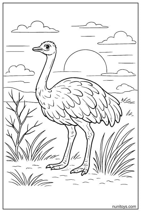 Ostrich Standing by Low Sun in Grassland Coloring Page