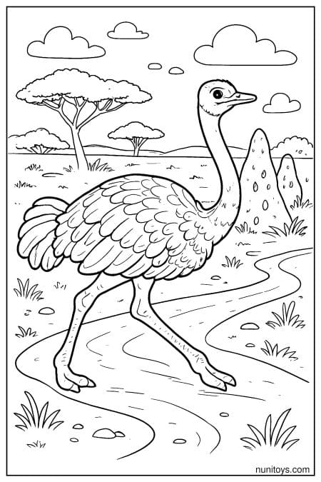 Ostrich Walking Along Winding Savanna Path Coloring Sheet