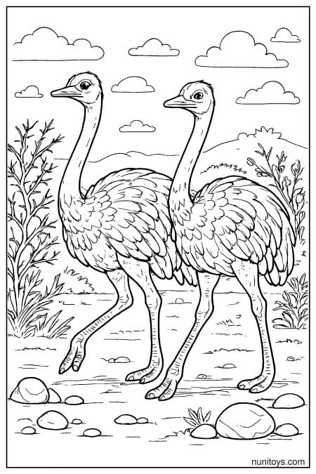 Two Ostriches Walking Through Rocky Savanna Coloring Page
