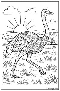 Ostrich Walking Across Sunny Savanna Coloring Page