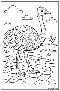 Ostrich Standing on Cracked Dry Ground Coloring Page