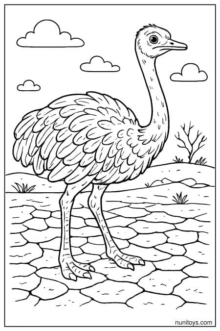 Ostrich Standing on Cracked Dry Ground Coloring Page