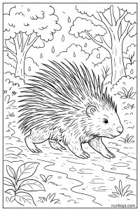 Porcupine Walking Through Rainy Forest Coloring Sheet