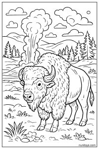 Wild Bison Standing Near Yellowstone Geyser Mist Coloring Page